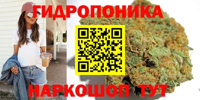 MDMA Новозыбков