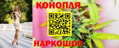ешки Новодвинск
