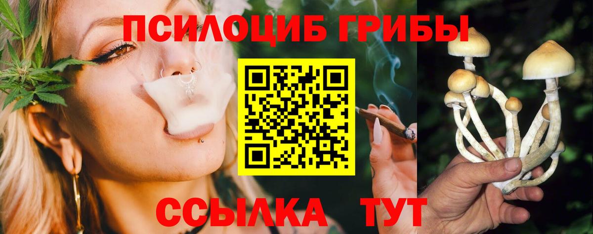 Галлюциногенные грибы прущие грибы  Вход с VPN  Ульяновск  Псилоцибиновые грибы Psilocybe 