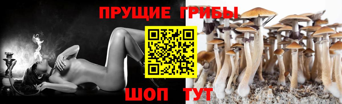 Псилоцибиновые грибы GOLDEN TEACHER Ульяновск